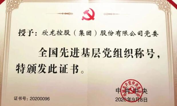 【動態(tài)新聞】表彰！欣龍控股榮獲兩項(xiàng)國家級重要榮譽(yù)